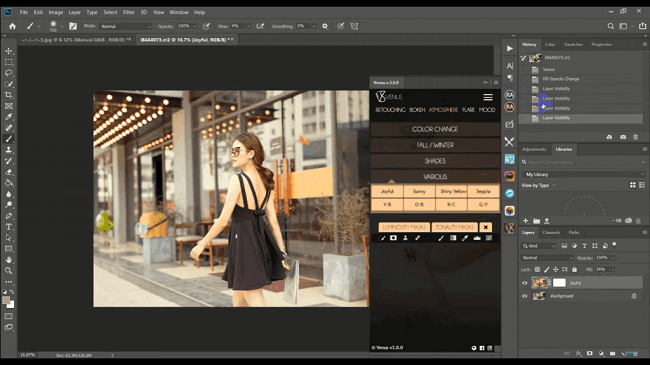 Venus Retouch Panelfor pc